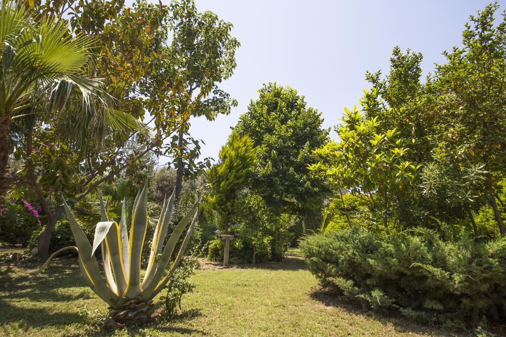 Kizilbuk Ahsap Evleri Hotel Datca Exterior foto